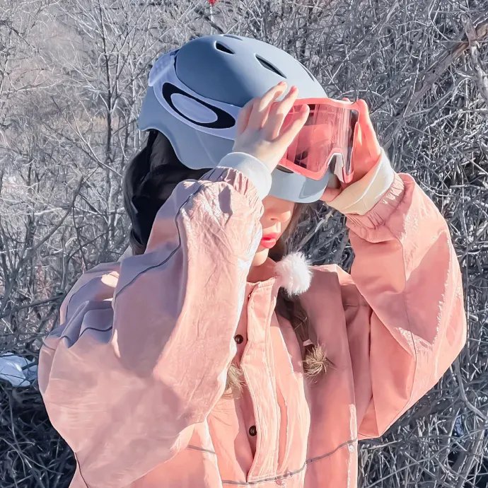 危险女婿